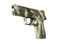 P250