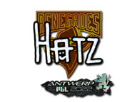 hatz Stickers