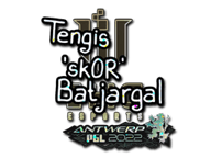 sk0R Stickers