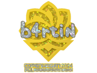 b4rtiN Stickers
