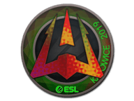 Katowice 2019 Minor Challengers (Holo/Foil) Stickers
