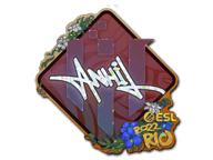 IHC Esports Stickers