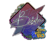 BUDA Stickers
