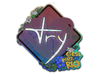 TRY Stickers