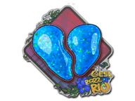 CS2 Stickers