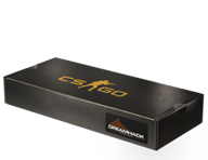 DreamHack 2013 Souvenir Package