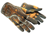 Sport Gloves