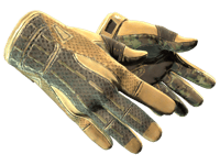 Sport Gloves