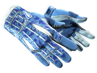 Sport Gloves