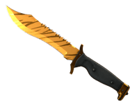 Bowie Knife