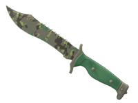 Bowie Knife