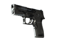 P250