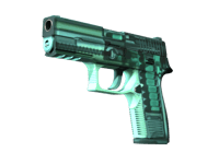P250
