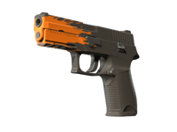 P250