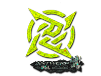 Ninjas in Pyjamas (Glitter) | Antwerp 2022