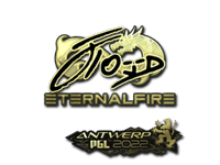 xfl0ud (Gold) | Antwerp 2022
