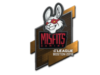 Misfits Gaming | Boston 2018