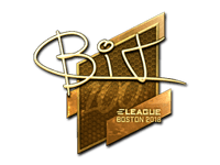 BIT (Gold) | Boston 2018