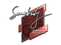 somebody | Boston 2018