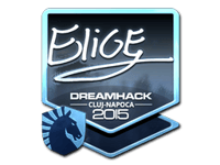 EliGE (Foil) | Cluj-Napoca 2015
