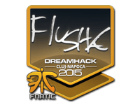 flusha | Cluj-Napoca 2015