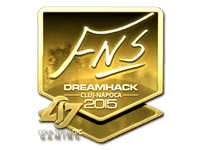 FNS (Gold) | Cluj-Napoca 2015