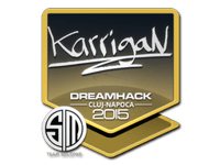 karrigan | Cluj-Napoca 2015