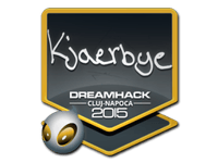 Kjaerbye | Cluj-Napoca 2015