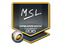 MSL | Cluj-Napoca 2015
