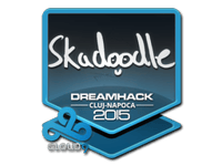 Skadoodle | Cluj-Napoca 2015