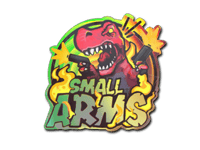 Small Arms (Holo)