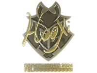 HooXi (Gold) | Copenhagen 2024