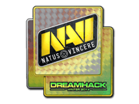 Natus Vincere (Holo) | DreamHack 2014