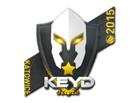 Keyd Stars | Katowice 2015