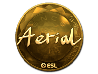 Aerial (Gold) | Katowice 2019