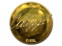 COLDYY1 (Gold) | Katowice 2019