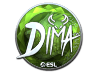 Dima (Foil) | Katowice 2019