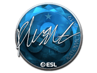 flusha (Foil) | Katowice 2019
