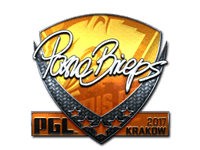 pashaBiceps (Foil) | Krakow 2017