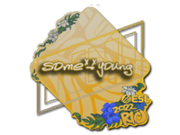 sdy | Rio 2022