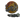 Spinx