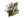 jmqa