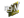 ngiN