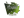 mixwell