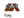 nawwk