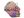 torzsi