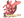 Djoko