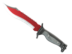 Bowie Knife