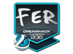 fer | Cluj-Napoca 2015