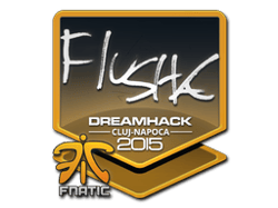 flusha | Cluj-Napoca 2015